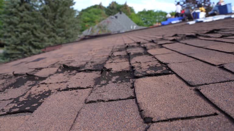 Best Storm Damage Roof Repair  in Granville, OH